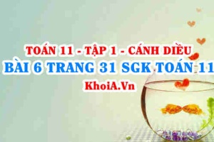 Bài 6 trang 31 SGK Toán 11 tập 1 Cánh Diều